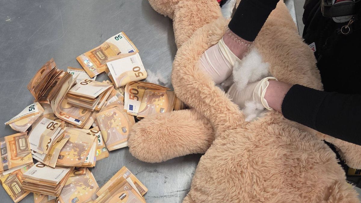 Podezřelá hračka na poště v Nizozemí. Medvídek měl v břiše zašitý nečekaný poklad